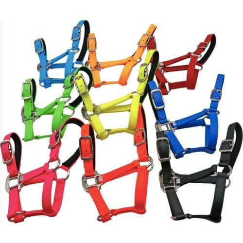 Outdoor equestrian supplies horse bridle large, medium and small size horse bridle multi-color optional equestrian equipment