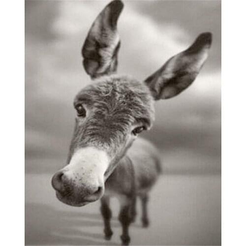 DIY Digital Painting By Numbers buttercup oil painting mural Kits Coloring Wall Art Picture Gift frameless