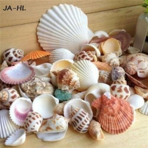 Mixed Sea Shells Funny Shell Craft Aquarium Nautical Decor Ornaments Natural Mini Conches About 100g