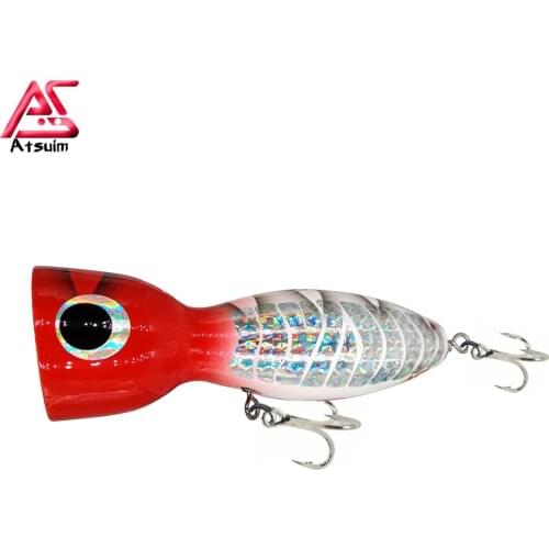 Atsuim Fishing Lure For Carp