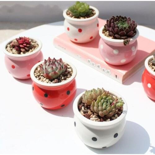 Ceramic Candy Dot Thumb Flowerpot Succulent Plant Pot Maceta Flowerpot Desktop Ornaments Indoor Garden Balcony Decor