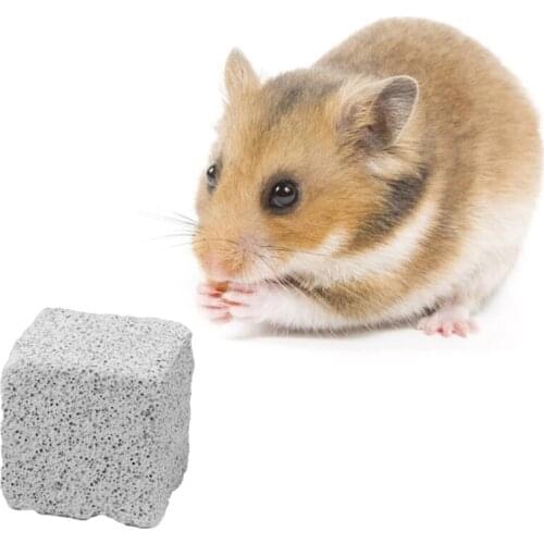 1 Inch Hamster Chew Toys Teeth Grinding Lava Block for Small Animal Hamster Chinchilla Bunny Rabbit 10 Pack Set