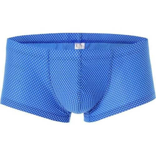 Sexy Mens Boxers Shorts Breathable Mesh U Convex Pouch Erotic Underpants Low Rise Man Sex Underwear Lingerie Trunk