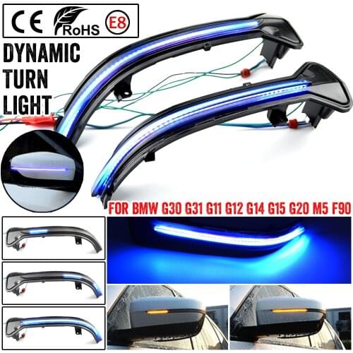 LED Dynamic Turn Signal Side Mirror Sequential Light Lamp For BMW G38 G12 G20 G30 G31 G14 G15 G11 G12 M5 F90 5 6 7 8 3 Series