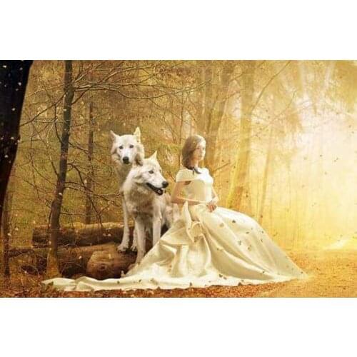 Glymg 5d Diamond Craft Painting Diamond Mosaic Gift Diy Diamond Embroidery Snow White And The Wolf Diamond Wall Arts Decor