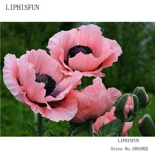 DIY Diamond Painting Decorative Painting Rhinestone Cross Stitch Diamond Pattern Diamond Embroidery Flower