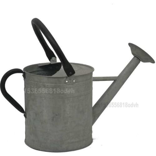 6.5L Retro Iron Household Gardening Watering Can Dual-purpose Flower Spraying Pot with Movable Head