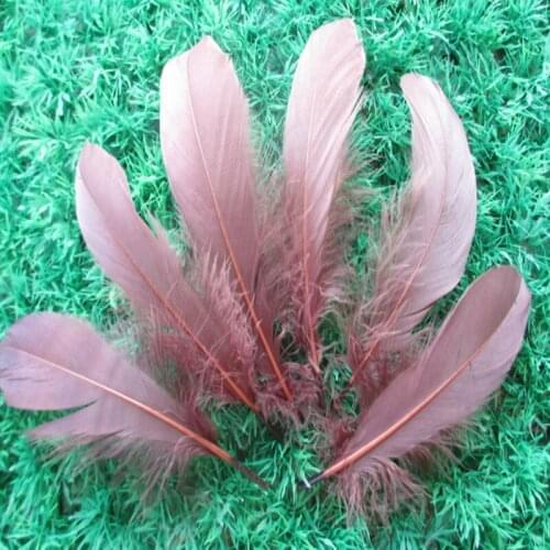 Wholesale perfect 20pcs high quality natural Brown Pheasant feathers 6-8inch/15-20cm Decorative diy