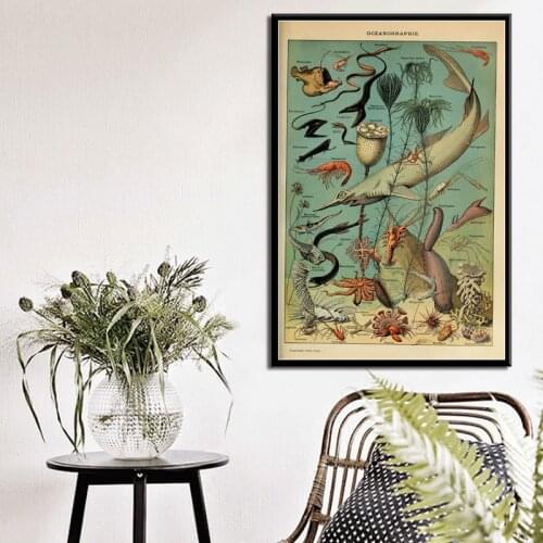 Poster Prints Retro Ocean Sea Shell Fish Animal Vintage Life Chart Biology Painting Art Wall Pictures For Living Room Home Decor
