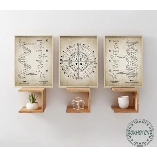 Vintage Science Dna and Rna Genetic Code Canvas Poster Wall Art Prints Painting Medical Genetics Biochemistry Student Gift
