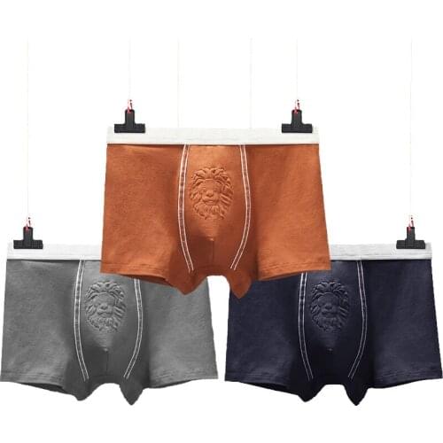 Funny men underwear bielizna sous vetement cueca masculina homme boxer boxers man mens male calzoncillos ropa interior hombre