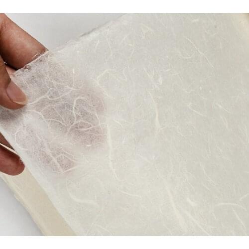 10pc See-through Long Pure Plant fibre Rice Paper Painting Calligraphy Sumi-e