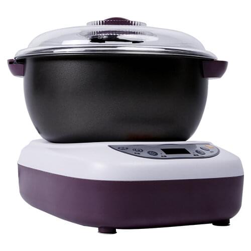 5.5L dough mixer home kneading machine automatic flour ferment processors 220V