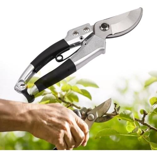 Easy to Operate Pointed Gardening Pruning Shears Thin Fruit Pruning Shears Reduce Plant Damage Sharp Garden Shears