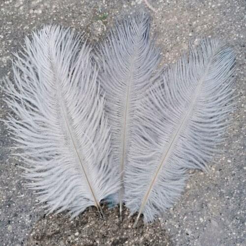 High Quality New 10pcs High Quality gray ostrich feathers 6-8 inches/15-20 cm for Party/wedding Decoration