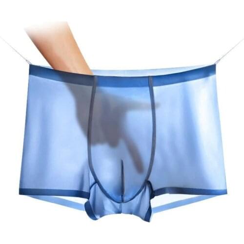 Summer Ice Silk Underwear Men Seamless Transparent Boxer Shorts Ultra Thin Sheer Breathable Panties Sexy Underpants Boxershorts