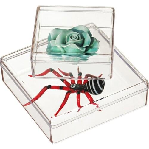 Transparent plastic small jewelry box square specimen box display storage beads bracelets jewelry ps plastic packaging box