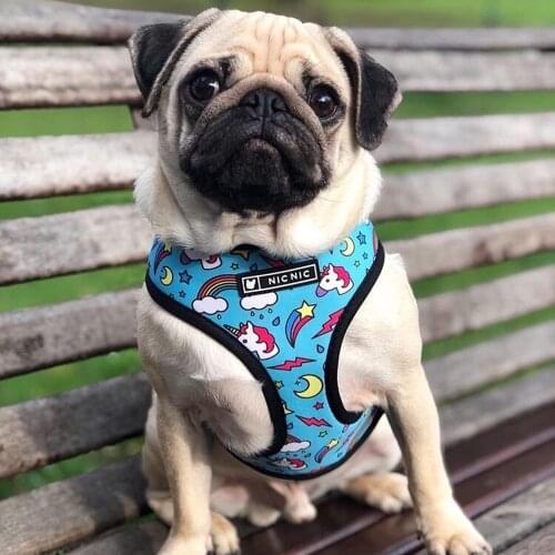 Fashion Unicorn Print Breathable Puppy Dog Pet Harness Frenchg Bulldog Product for Small Medium Dog Chihuahua Vest Leash S-XL