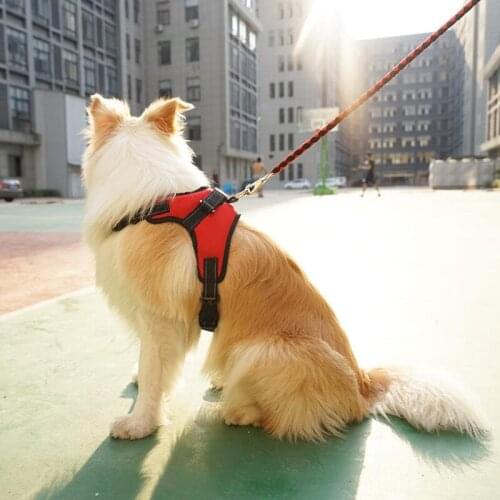 Pet Harness Adjustable Breathable Pet Dog Puppy Cat Mesh Vest Harness Collar Chest Strap Leash Products