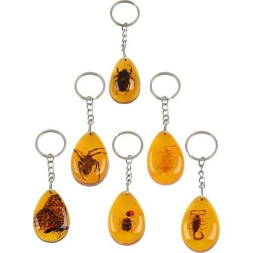 1PC Amber Key Chain Resin Insect Specimen Scorpion Butterfly beetle spider Key Ring Jewelry Gifts for Women Men Bag Accessories