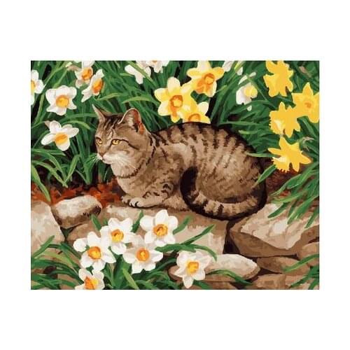 Cat lying in the garden DIY Framed Oil Painting By Numbers Animal Pictures Canvas Painting For Living Room Wall Art Home Decor
