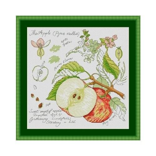 Shadow Fruit Series-Apple Needlework,For Embroidery,DIY 14CT Unprinted Arts Cross stitch kits Set Cross-Stitching Home Decor