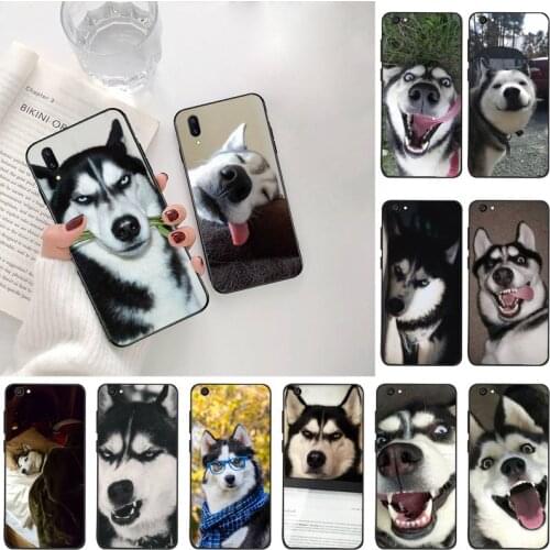 YJZFDYRM Funny husky Phone Case For Vivo Y91c Y17 Y51 Y67 Y55 Y93 Y81S Y19 V17 vivos5