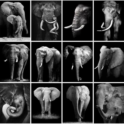 EverShine 5D Diamond Painting Elephant Cross Stitch DIY Diamond Embroidery Animals Piture Rhienstones Kits Hobby Wall Decor