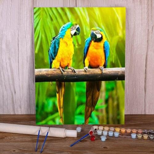 Bird Parrot Animal Paint By Numbers Package Acrylic Paints 40*50 Picture By Numbers Photo Wall Decoration Wholesale