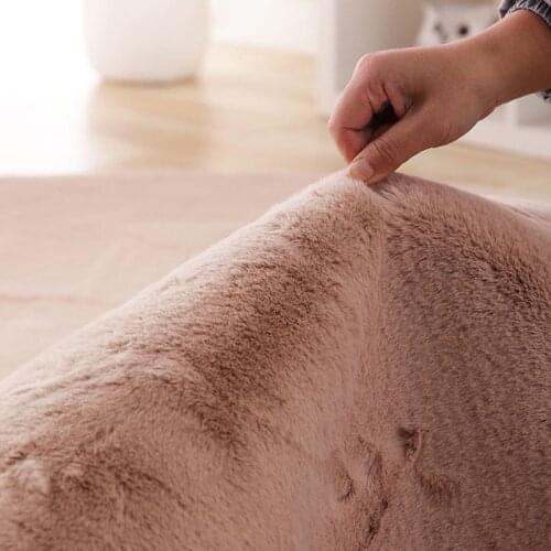 Imitation Rabbit Fur Carpet Livingroom Bedroom Bedside Rugs Soft Fluffy Sofa Mat Coffee Table Bay Window Seat Pad Solid Color