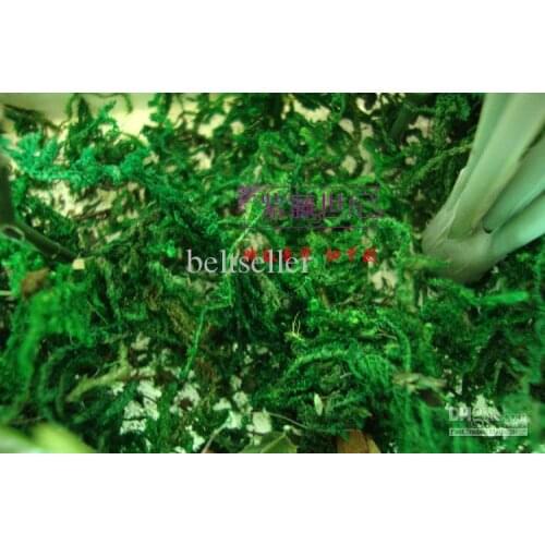 High Simulation green moss artificial flower artificial Green Plants garden decor 300g/lot Free shipping