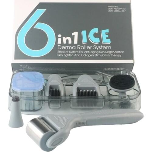 6 IN 1 ICE DERMA ROLLER SET MICRONEEDLE SKIN CARE WITH ICE ROLLER & TRAVEL CASE