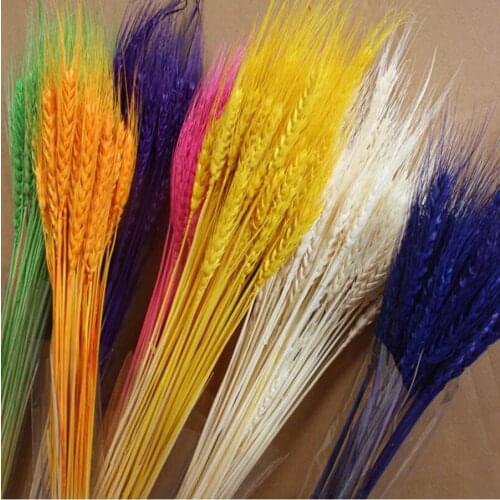 60g Eternal Life Wheat Flowers Preserved Dried Flower For Wedding Party Home Hotel Decoration DIY Bouquet Accessory