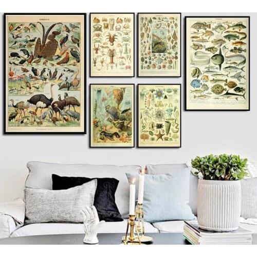 Ocean Sea Shell Fish Animal Vintage Life Chart Biology Poster Print Painting Wall Art Nordic Pictures Poster Kraft paper