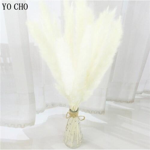 Real Natural Dried Pampas Grass Wedding Party Decoration Small Pampas grass plants Flower Family Store Home Christmas Decor