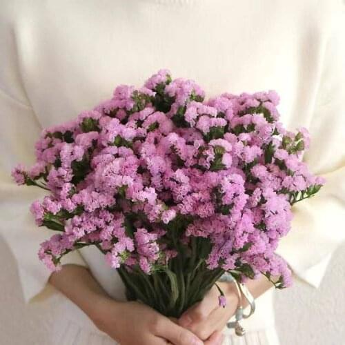 Real Wheat lavender Myosotis sylvatica Decoration Natural Grass Dried Flowers Wedding Party DIY Scrapbook Bouquet Floral cotton