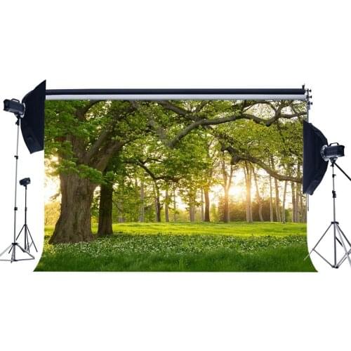Spring Backdrop Jungle Forest Backdrops Trees Green Grass Meadow Fresh Flowers Nature Photography Background