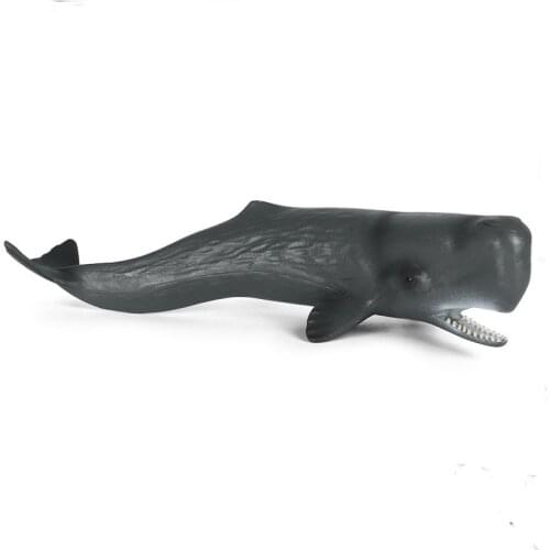Simulation Marine Life Model Toy Sperm Whale Shark Early Childhood Education Cognitive Doll Decoration Hand-made for Kids