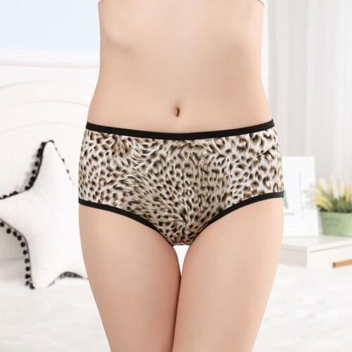 2/4 pcs Womens underpants sexy lingerie Womens thong Womens seamless underwear tangas low waisted plus size Female briefs
