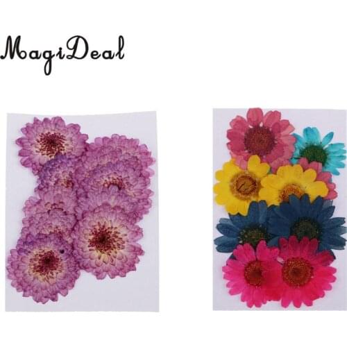 20pcs Real Dried Flowers Pressed Chrysanthemum for Wedding Decoration Scrapbooking DIY Arts Crafts Floral Decor