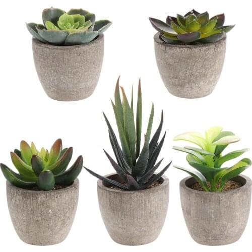 1 Set Potted Succulents Plants Ceramics Bonsai with Pots Cement Artificial Flower Fake Plants for Wedding Garden Home Decorative