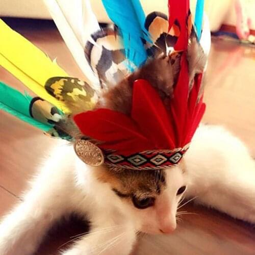 High Simulation Feather Cat Small Dogs Party Costume Feather Headband for Family
