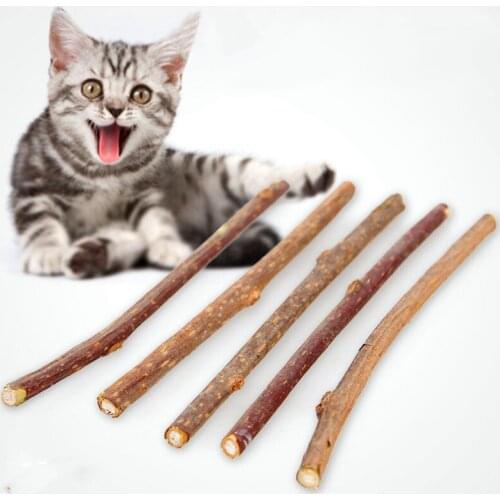 Cat Toy Natural Catnip Pet Cat Molar Toothpaste Stick Matatabi Actinidia Fruit Silvervine Cat Snacks Sticks Pet Cleaning Teeth