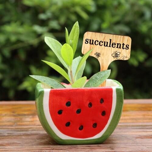 50Pcs T-Type Bamboo Plant Labels Eco-Friendly Gardening Wooden Label With Pointy Head Renewable Plant Sign Tags Garden Markers