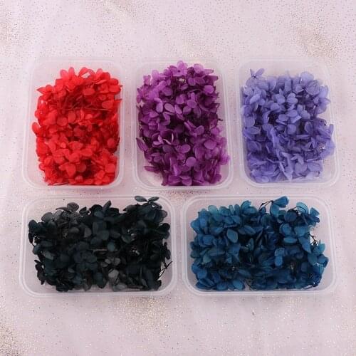 Grade B 5 g immortal flowers and trees hydrangea ins keychain small bunch of gypsophila with diy hydrangea dried flowers