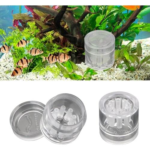 Transparent Pest Catch 8 Hole Planaria Snail Trap Aquarium Fish Plant Tank Aquarium Cleaning Tools