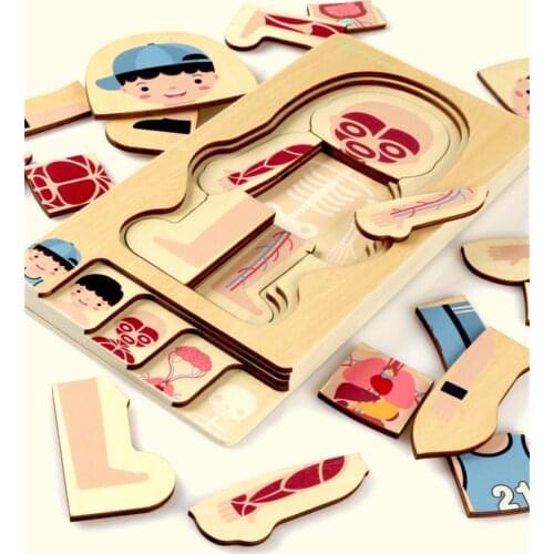 Human Body Puzzle Boys Girls Body Structure Children Puzzles Kids Toys Gift Children Montessori Educational Toys Wooden