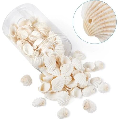1Box Natural Conch Shell Pendants Sea Beach Shell Cowrie Charm For Women DIY Necklace Bracelet Earrings Summer Jewelry Making