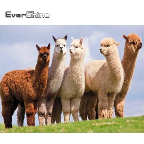 EverShine Diamond Embroidery Animals Mosaic Art Cross Stitch Kits Diamond Painting Alpaca Sale 5D New Arrival Handmade Gift