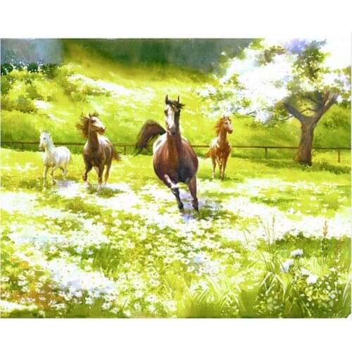 DIY Kits Picture By Number Horse Canvas 40x60 Frame Acrylic Paint For Adults Oil Painting Drawing Coloring By Number Decoration